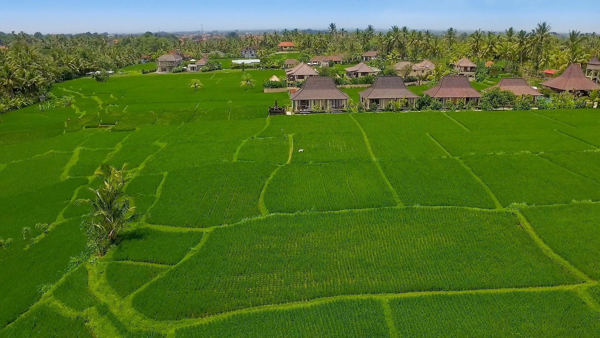 Masia Villa Ubud 4*, Ubud (Bali)